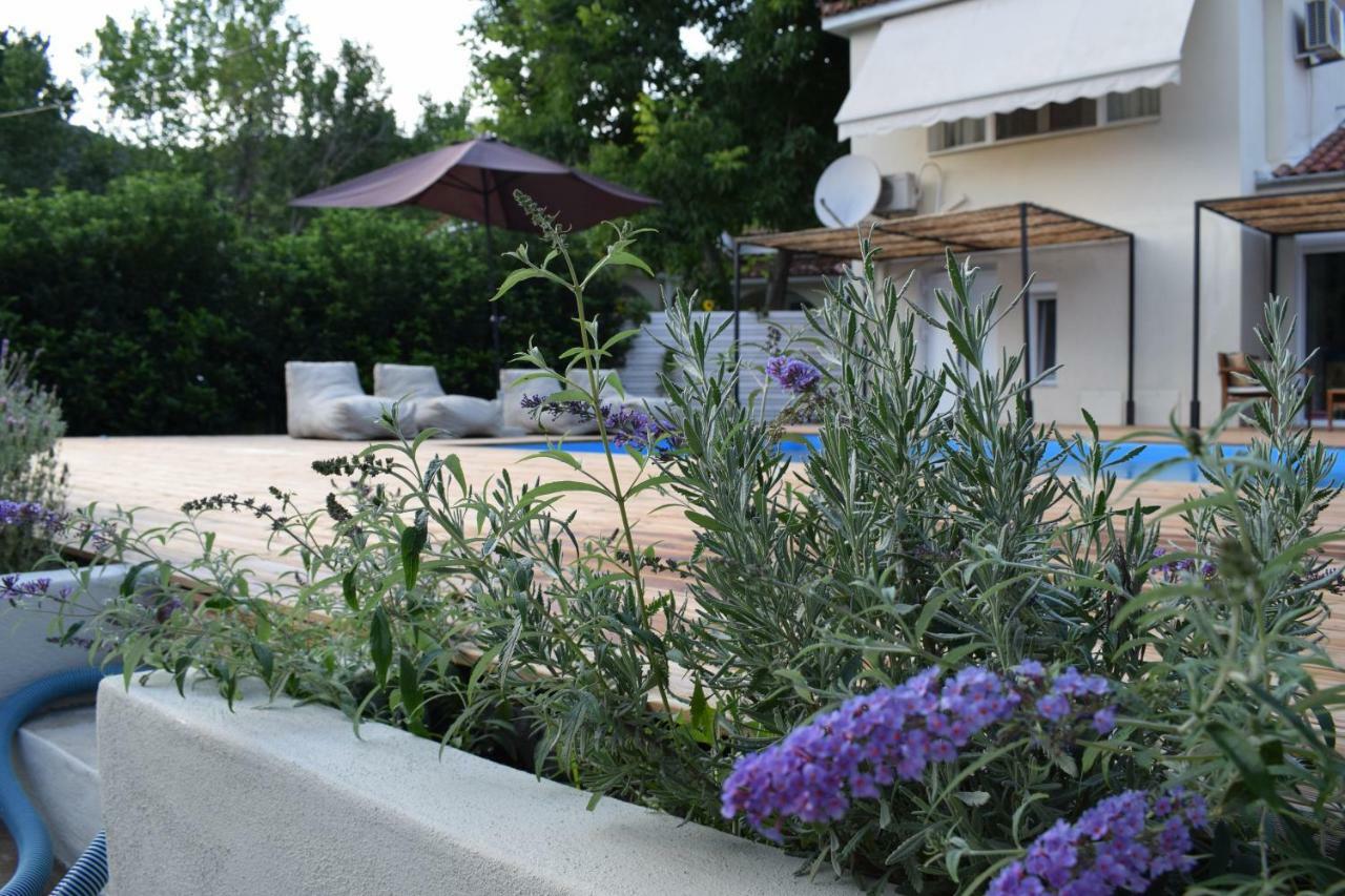 Serenity Luxury Villa, Skiathos Agia Paraskevi  Exteriér fotografie