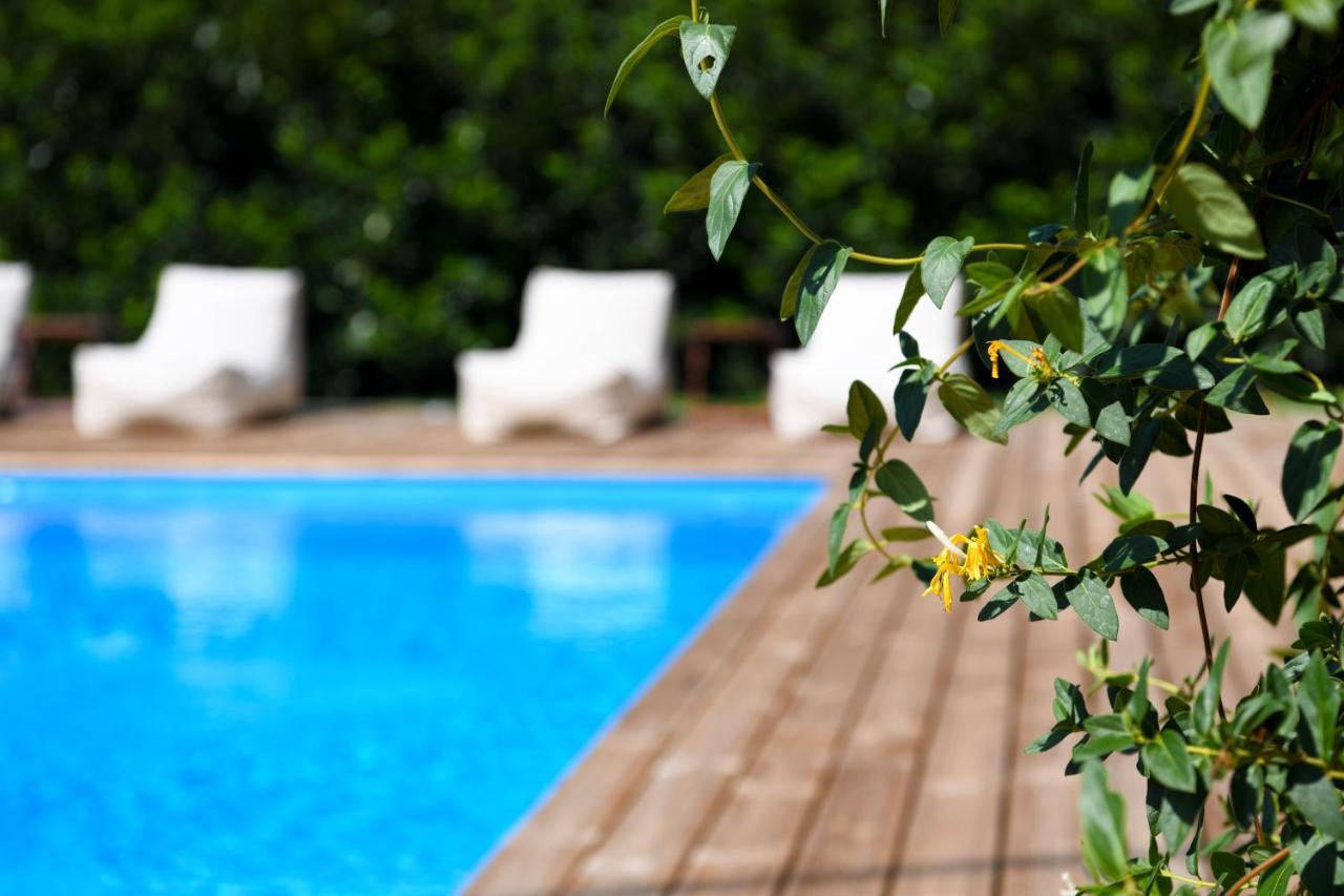 Serenity Luxury Villa, Skiathos Agia Paraskevi  Exteriér fotografie